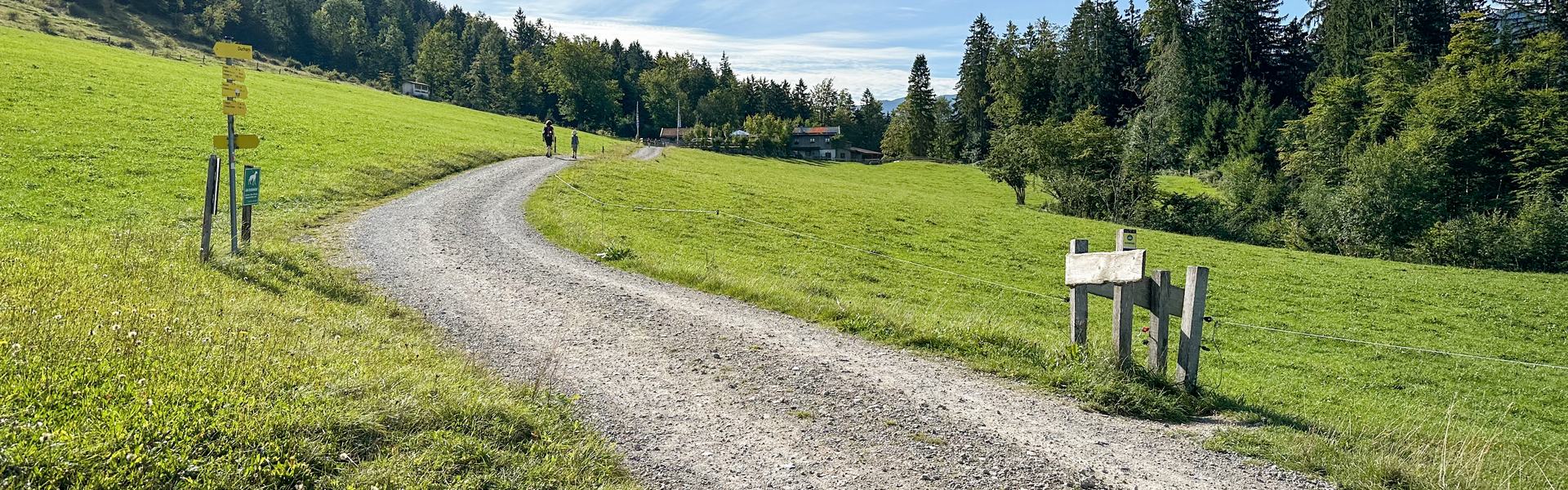 Schotterweg durch grüne Almwiesen mit Wegweisern