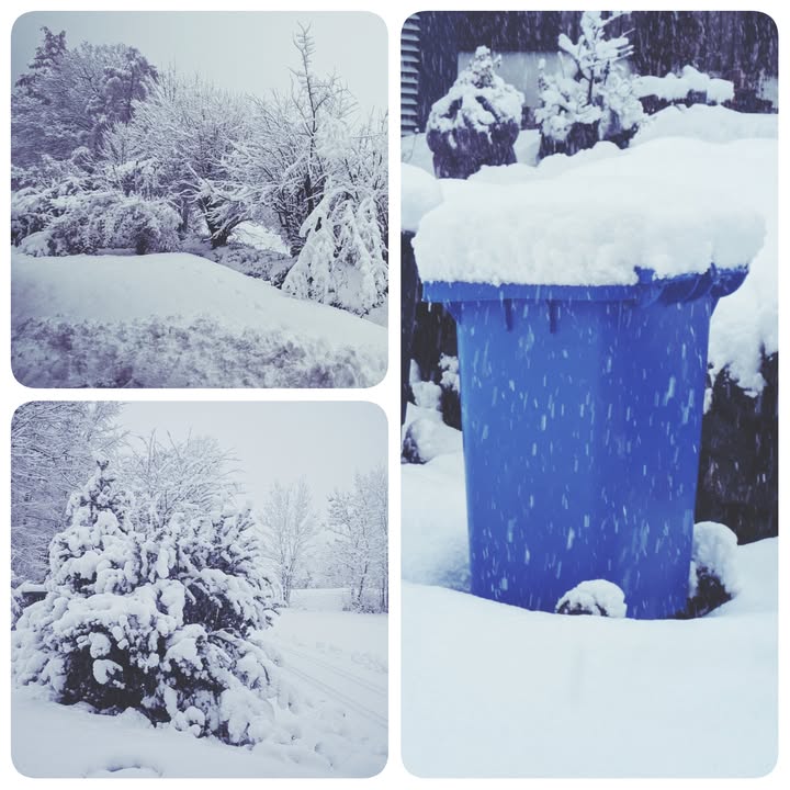Foto zum Schneebericht vom 26. November 2025