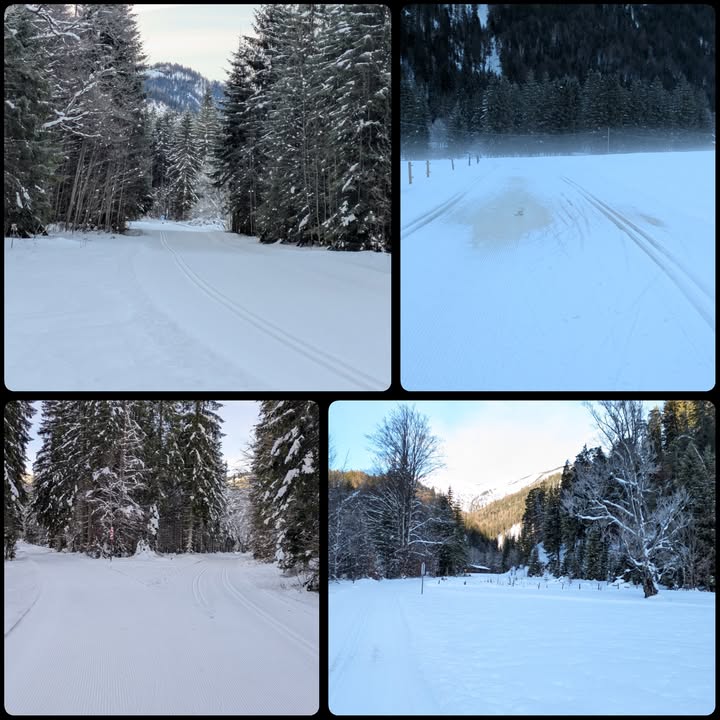 Foto zum Schneebericht vom 14. Januar 2026