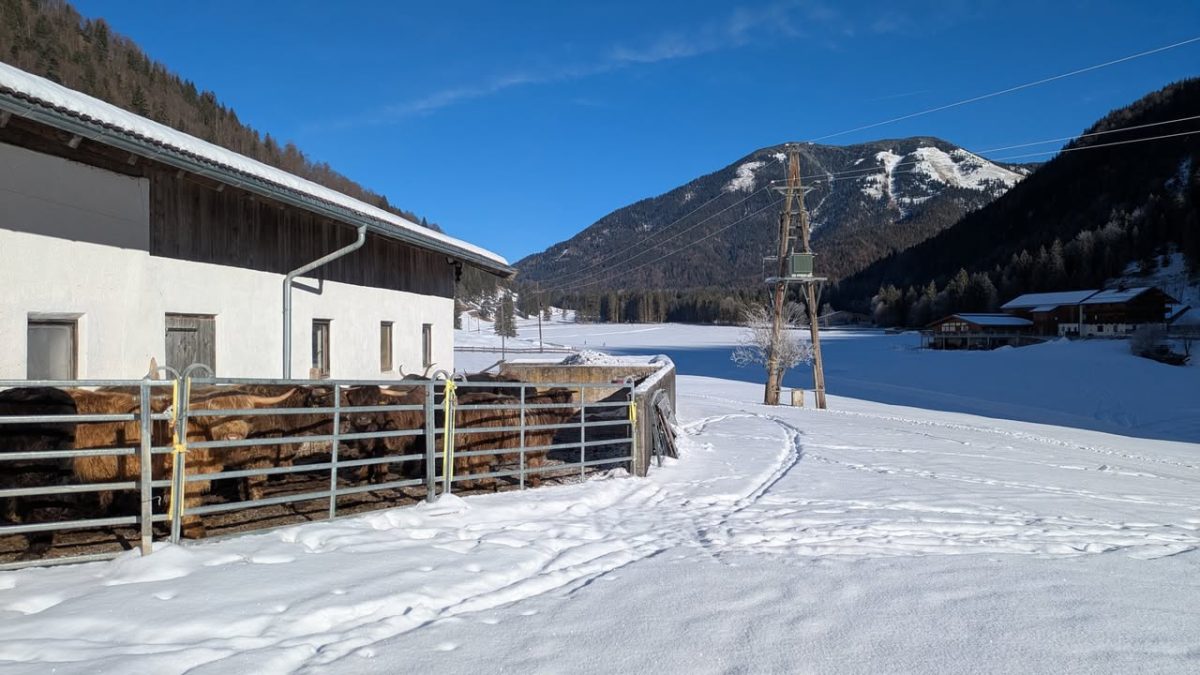 Foto zum Schneebericht vom 27. Januar 2026