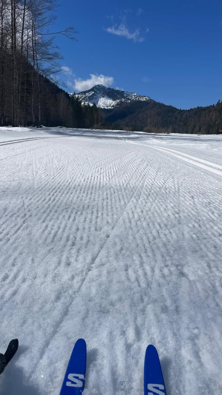 Foto zum Schneebericht vom 4. März 2026